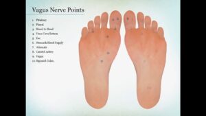 Growing Vagal Tone with Acupressure & Reflexive Therapies, 5CEs