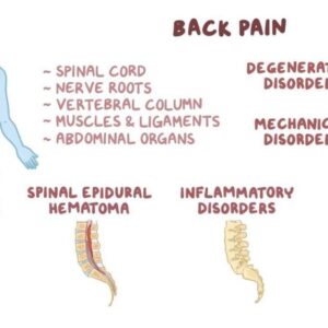 Medical Massage for Low Back, Hip, & Sciatica Relief Webinar