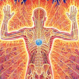 Living Metta Meditation Series: Heal Your Shoulders and Restore Calm to Your Heart