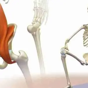 Living Metta Meditation Series-Restore Your Core: Abs, Obliques, & Psoas